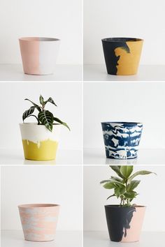 four different pots with plants in them