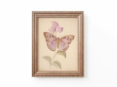 a framed butterfly with pink flowers on it's wings is mounted to the wall