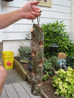 a person is holding up a tree trunk with holes in it