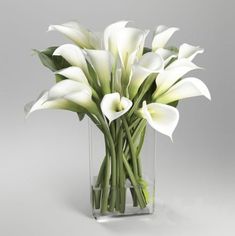 white flowers in a clear vase on a gray background