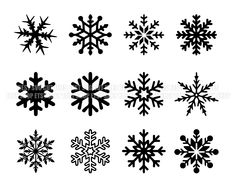 six snowflakes are shown in black and white