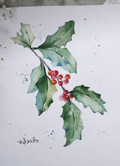 a watercolor painting of holly leaves and berries