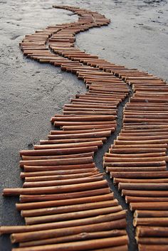 a long path made out of sticks on top of the ground with water in the background