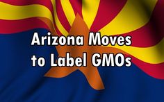 Arizona Moves to Label All GMOs While Organizations Try to Kill GMO Labeling Laws Yes! Good for Arizona. Types Of Diseases, Bad Food, Heaven Sent, Organic Food, Health Awareness, Organic Recipes, Healthcare Professionals