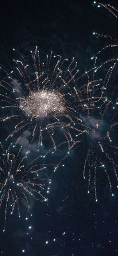 fireworks are lit up in the night sky