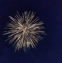 a fireworks display in the night sky