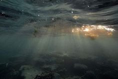 the sun shines brightly through the water as it floats above the ocean floor in this underwater photo