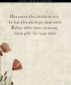 two red flowers are in front of a white background with the words, phir ust bewaala pe marte hain