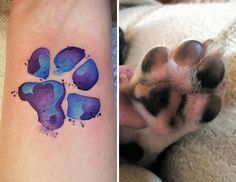 two pictures one with a dog paw and the other with a cat's paw