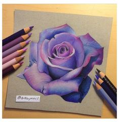 colored pencils are next to a drawing of a purple rose