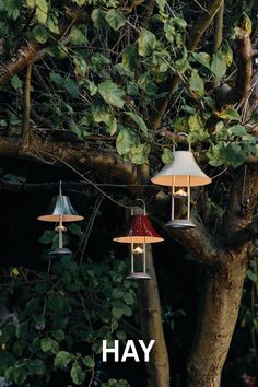 three lamps hanging from a tree with the words yah above them