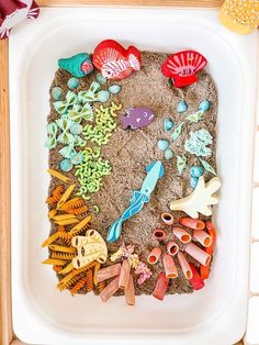 a white tray filled with different types of sand and sea animals on top of it