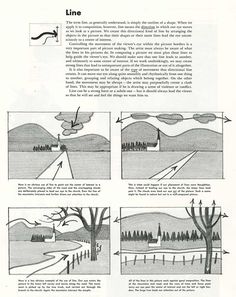 an instruction manual for how to draw trees