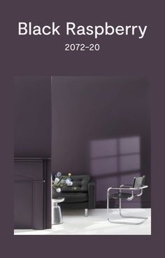 the cover of black raspberry 2012 - 20, featuring a chair and table