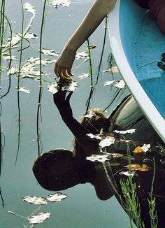 a person in a boat with their hand on the water's surface and grass