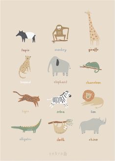 an illustrated poster with different animals and their names