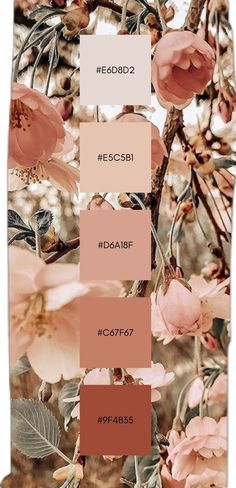 some pink flowers and brown leaves on a white background with the words, heddd2