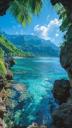 the water is crystal blue and there are palm trees in the foreground with mountains in the background