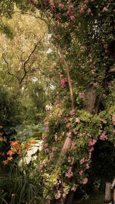 a wooden bench sitting in the middle of a lush green forest filled with pink flowers