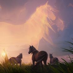 three horses are standing in the grass at sunset