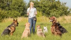 a woman standing in the grass with five dogs