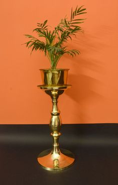 a gold vase with a plant in it