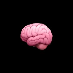 a pink brain is shown against a black background