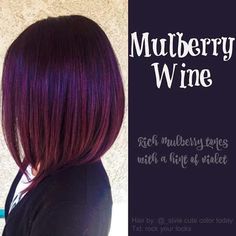 I love this color, but not sure it would fly. Mulberry Wine, Wine Hair Color, Wine Hair, Violet Hair, Burgundy Hair, Haircut And Color, Hair Color And Cut, Great Hair, Hair Today