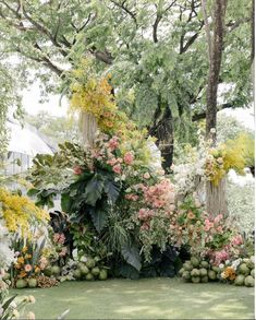 an outdoor garden with lots of flowers and plants on the ground in front of trees