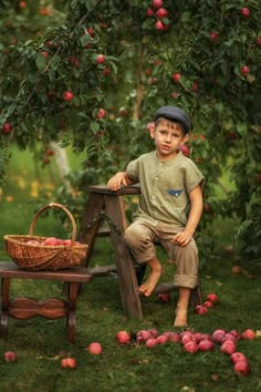 a young boy sitting on a wooden bench next to an apple tree filled with apples