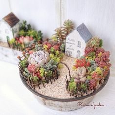 small succulents are arranged in a bowl with a house on the side