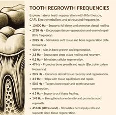 Teeth Health, Natural Healing Remedies, Home Health Remedies, Healing Frequencies, Alternative Healing, Health Knowledge, Natural Health Remedies, Healing Herbs, Sound Healing