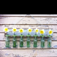 six green glass bottles with yellow daffodils in them hanging on a wall