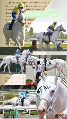 three pictures of horses and jockeys on the same horse track, one is white