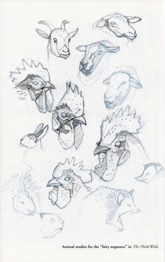 an animal studies for the story sequence in the third world, with various heads and beaks