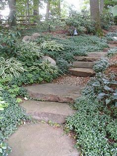 there is a stone path in the woods