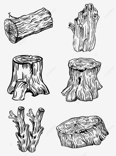 four different types of tree stumps in black and white, illustration, drawing, wood png and psd