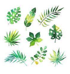 watercolor tropical leaves and plants on white background, hand drawn illustration in green tones