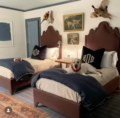 two beds in a room with paintings on the wall and a dog laying on top