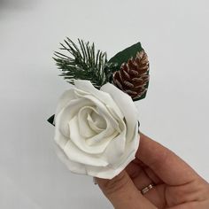 a hand holding a white rose with pine cones on it