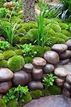 a rock garden with moss growing on it