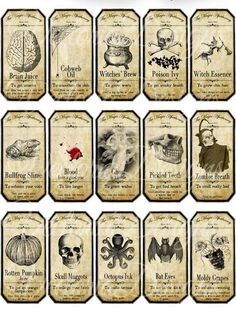 twelve cards with different types of animals on them