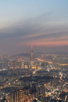 an aerial view of the city lights and skyscrapers at night, from atop a hill