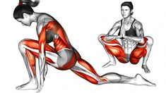 the muscles are highlighted in this diagram, and there is no image to provide a caption for