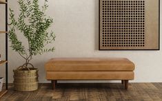 a brown leather bench sitting in front of a book shelf next to a potted plant