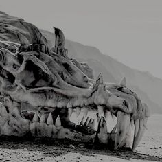 a black and white photo of an animal skull on the beach with mountains in the background