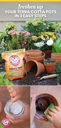 there is a collage of photos showing how to use terracotta pots