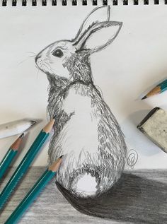 a pencil drawing of a rabbit sitting on top of a table next to some crayons