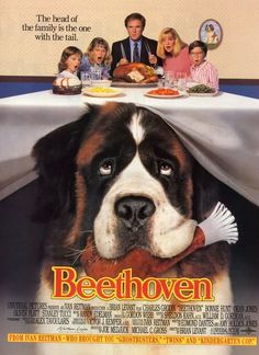 a dog is sitting under a table with people in the background and an advertisement for beefloven