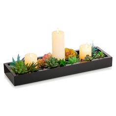 a tray with candles and succulents in it